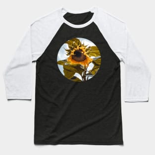 Stormy Sunflower Photograph Baseball T-Shirt